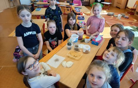 Co se to jen v té škole děje?