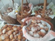 WhatsApp-Image-2026-02-19-at-15.48.45