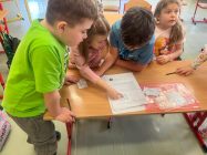 WhatsApp-Image-2026-02-24-at-10.51.52-1