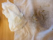 WhatsApp-Image-2026-03-05-at-13.36.06