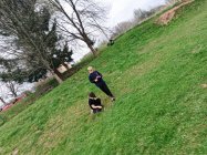 IMG 20250415 081621