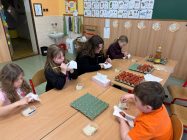 WhatsApp-Image-2026-04-02-at-10.49.33