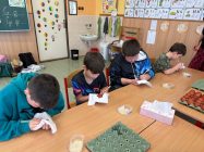 WhatsApp-Image-2026-04-02-at-10.50.49